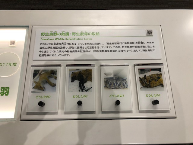f:id:okame77:20191005132043j:plain f:id:okame77:20191005132043j:plain