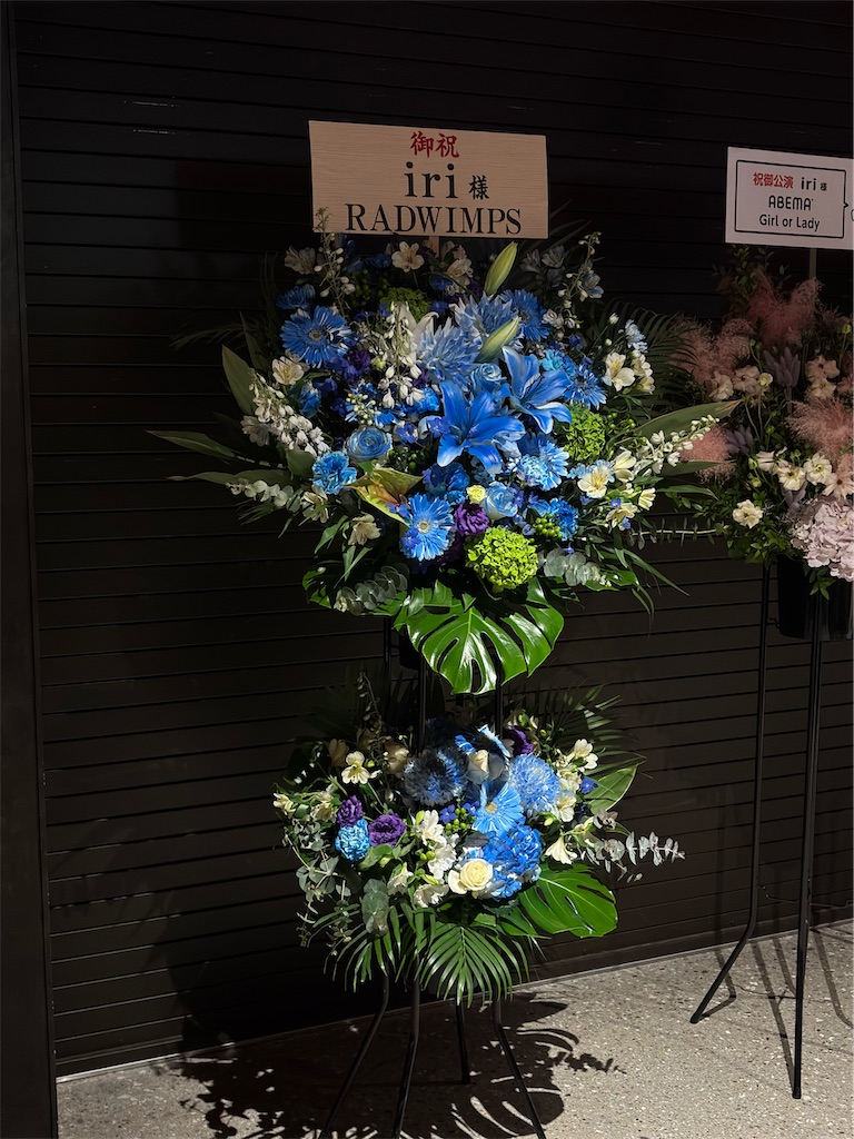 f:id:okamekameee:20260208142547j:image
