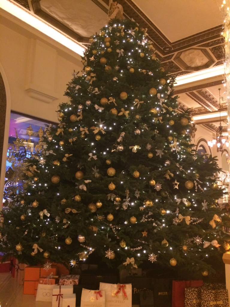 f:id:okamilernoboyaki:20161214235030j:plain