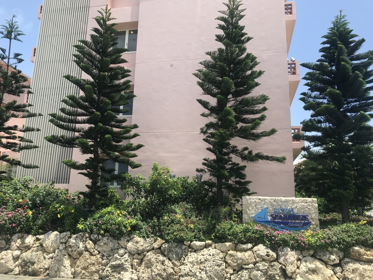 f:id:okamilernoboyaki:20190726001725j:plain