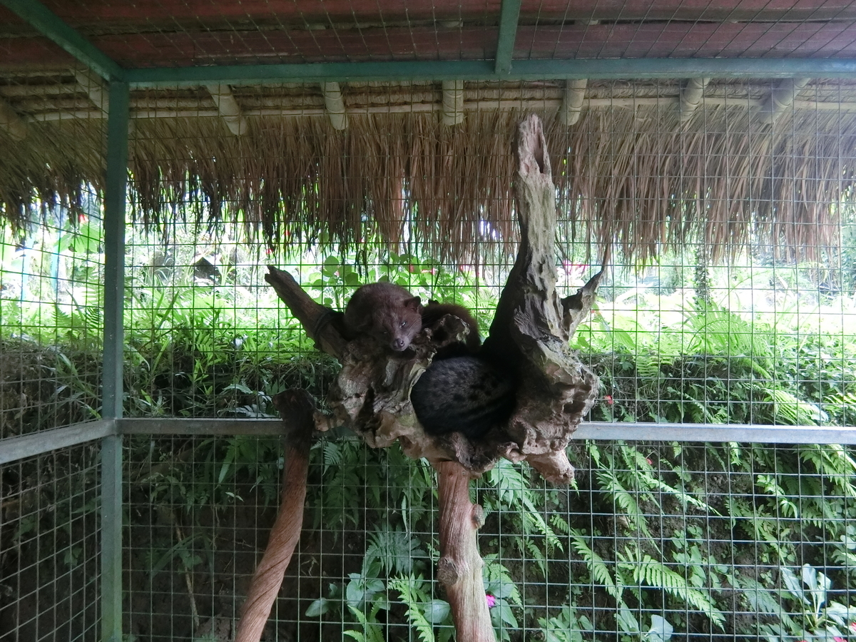 f:id:okamilernoboyaki:20191012022526j:plain