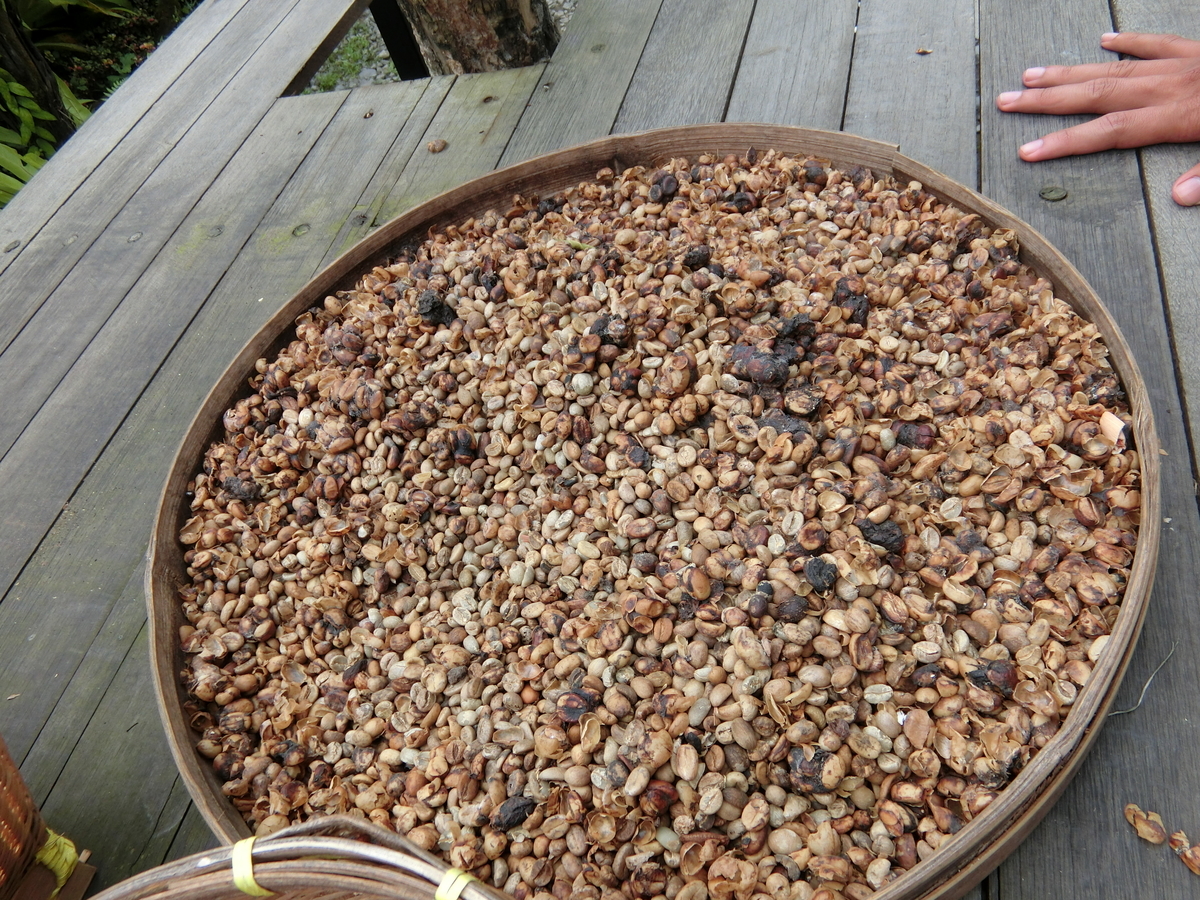 f:id:okamilernoboyaki:20191012022623j:plain