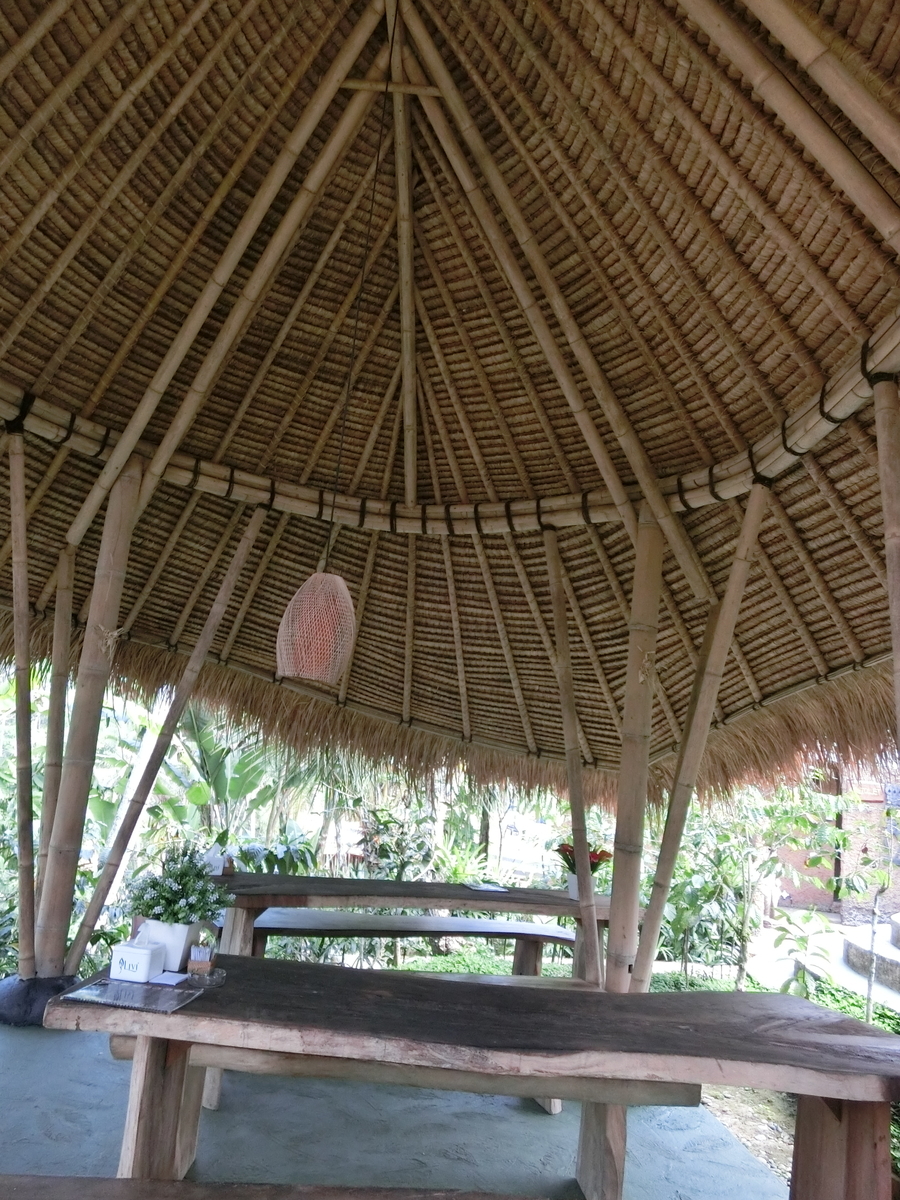 f:id:okamilernoboyaki:20191012022904j:plain