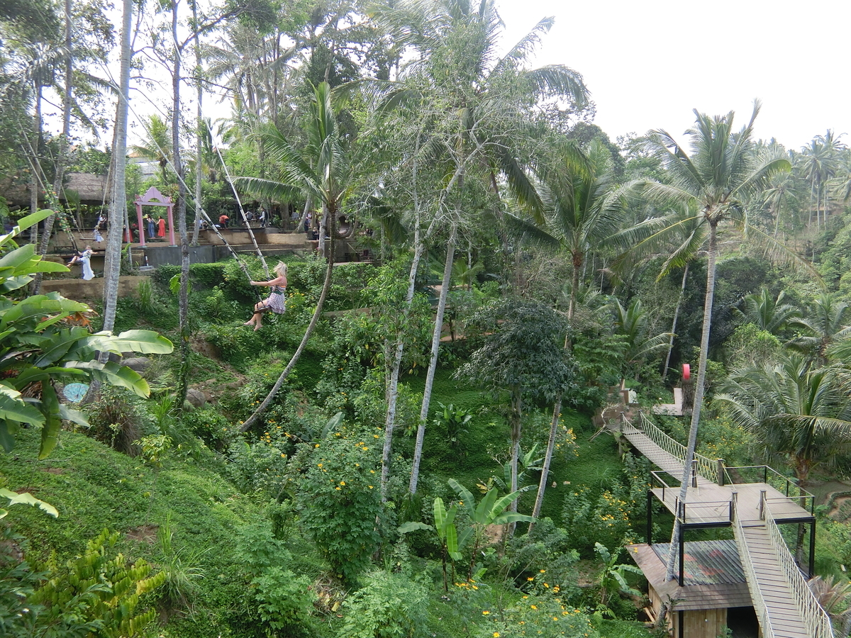 f:id:okamilernoboyaki:20191012023218j:plain