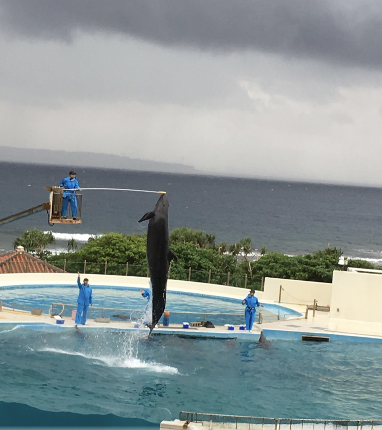 f:id:okamilernoboyaki:20191110191211p:plain