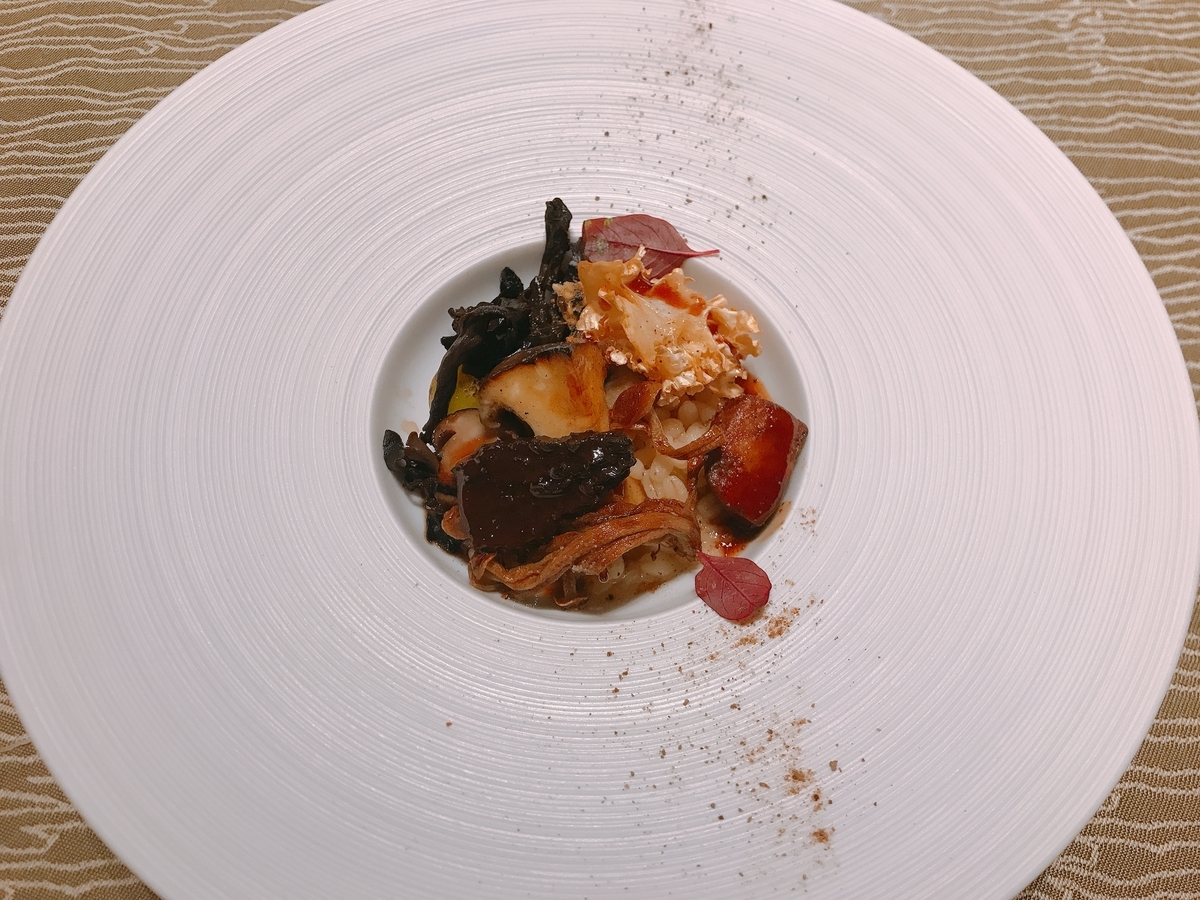 f:id:okamilernoboyaki:20201206172942j:plain