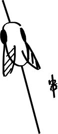 f:id:okamiwa26:20191230162946p:plain f:id:okamiwa26:20191230162946p:plain