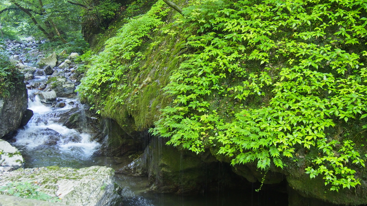 f:id:okamoti130:20200816195736j:plain f:id:okamoti130:20200816195736j:plain