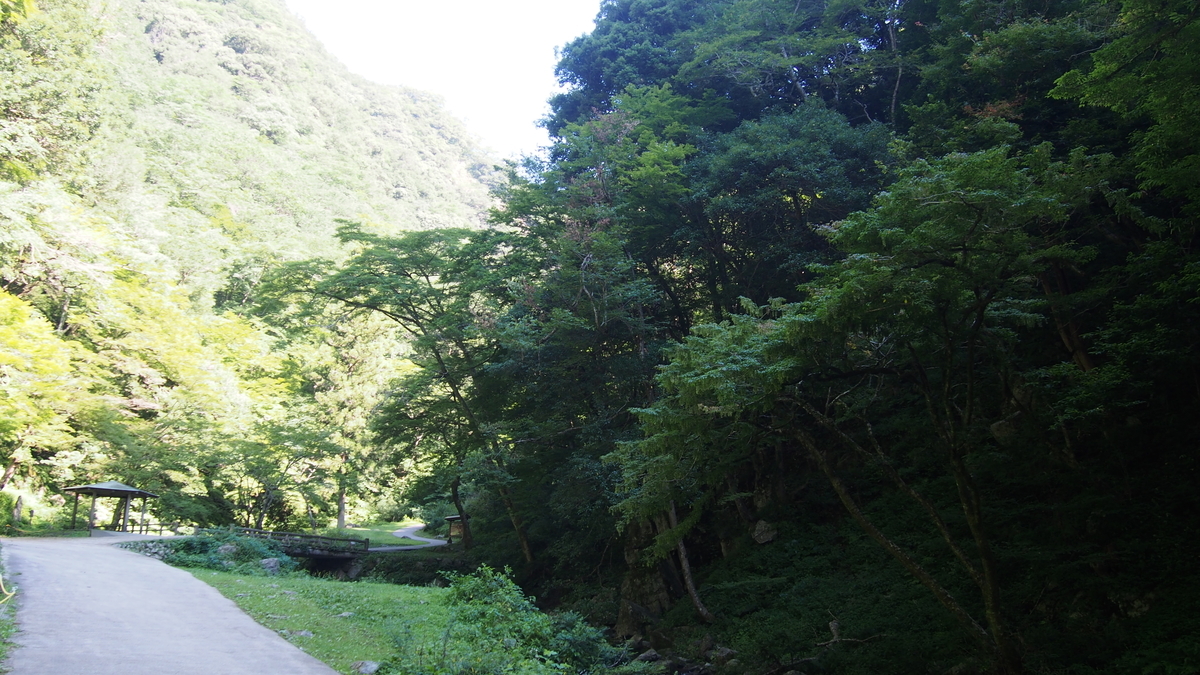 f:id:okamoti130:20200816195803j:plain f:id:okamoti130:20200816195803j:plain
