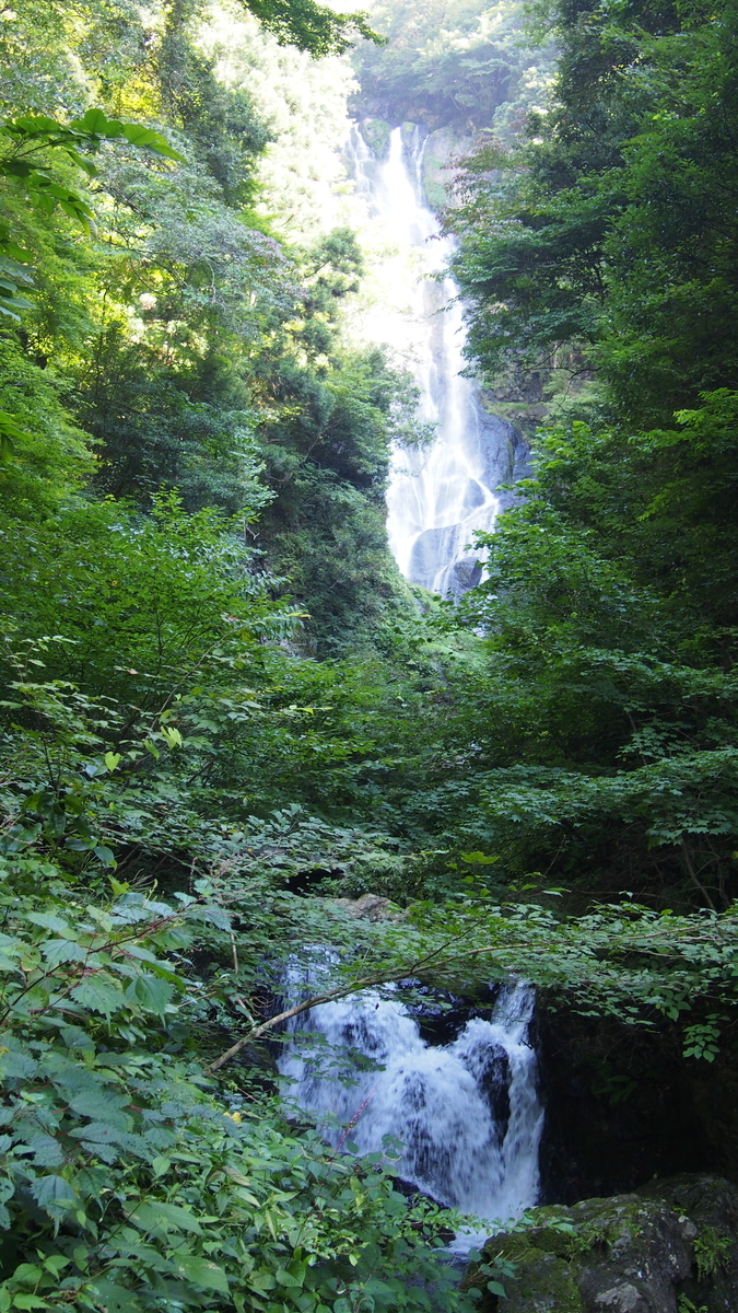 f:id:okamoti130:20200816195833j:plain f:id:okamoti130:20200816195833j:plain