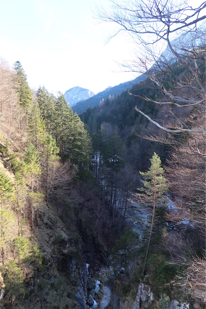 f:id:okamoto0301:20200621215610j:image