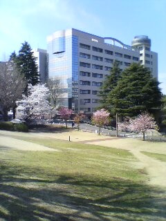 20090402173926