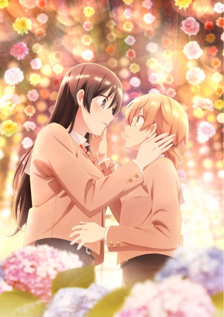 f:id:okamurashinn:20181225002710j:image