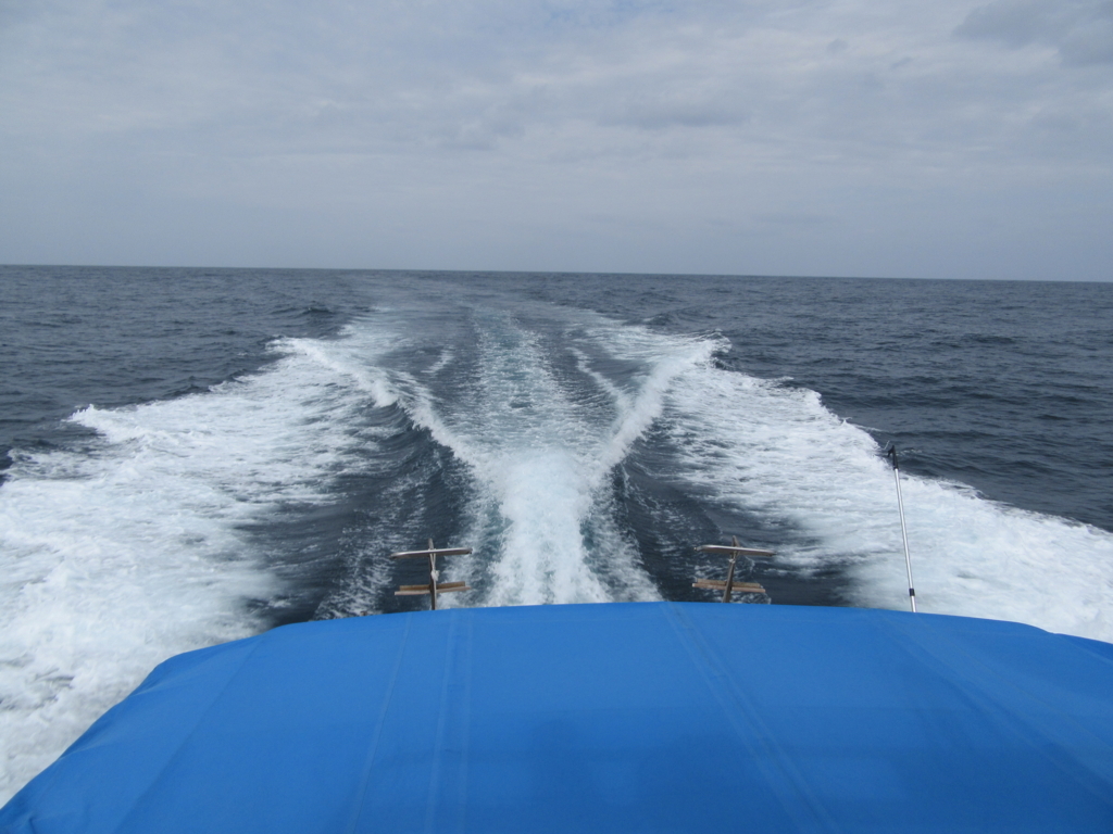 f:id:okamurauchino:20180302115719j:plain f:id:okamurauchino:20180302115719j:plain