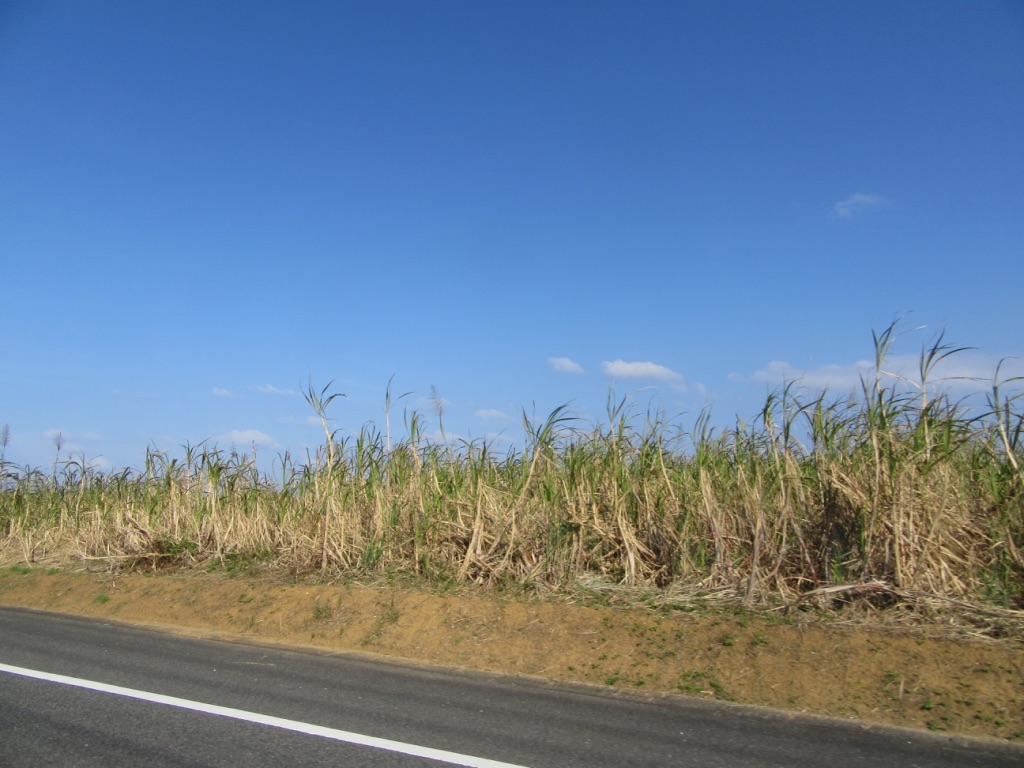 f:id:okamurauchino:20180305000511j:plain f:id:okamurauchino:20180305000511j:plain