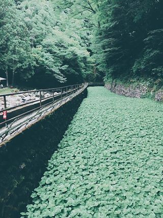 f:id:okamuuu:20170725094921j:plain f:id:okamuuu:20170725094921j:plain