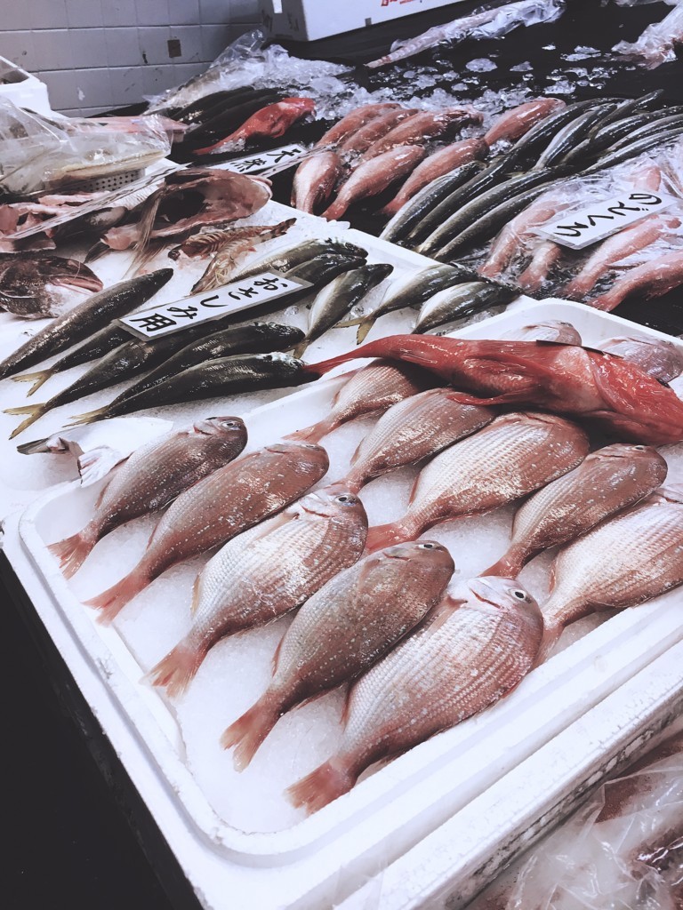 f:id:okamuuu:20170928085126j:plain