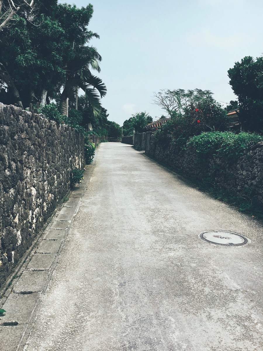 f:id:okamuuu:20190409113424j:plain