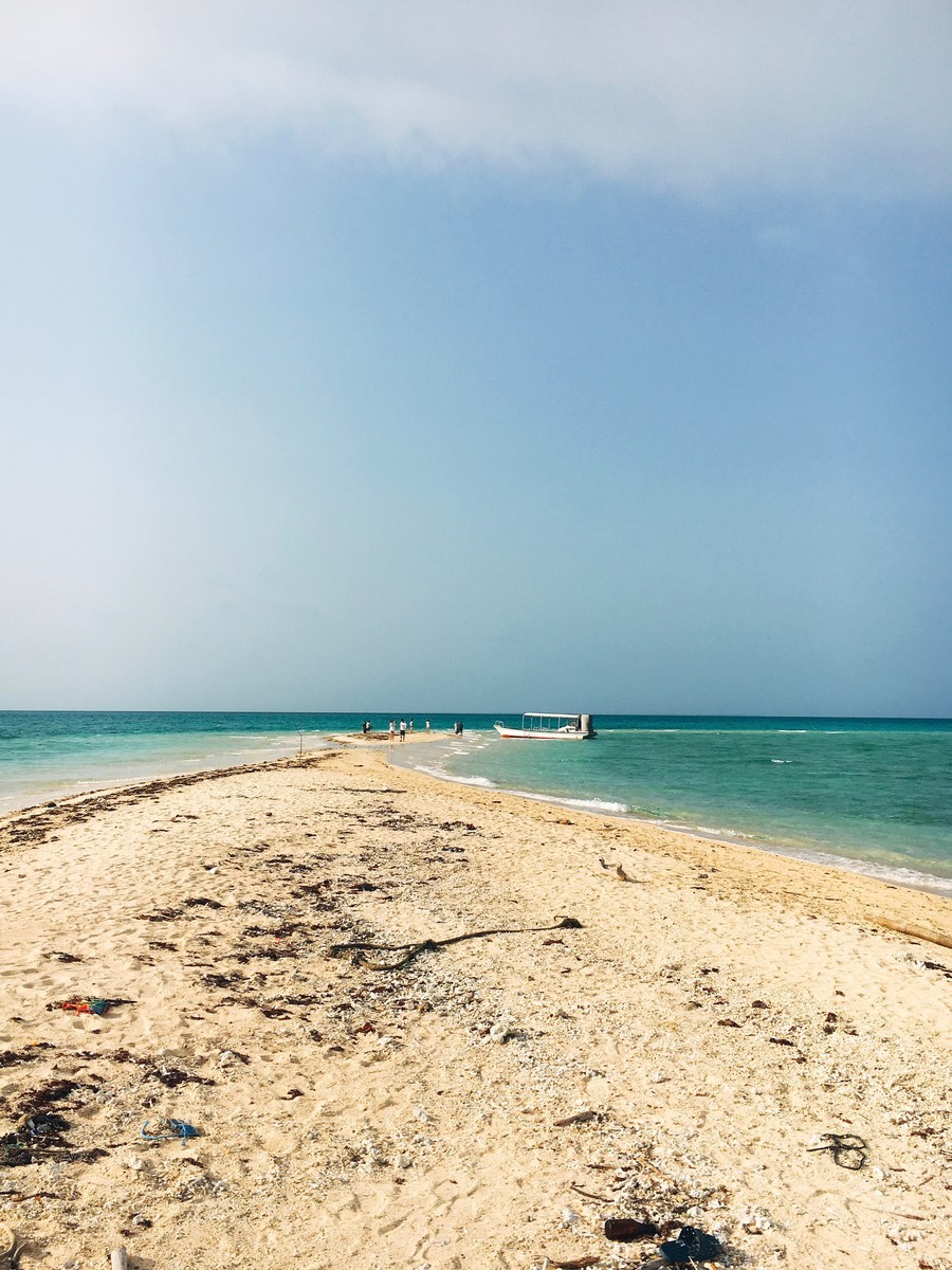 f:id:okamuuu:20190410082611j:plain