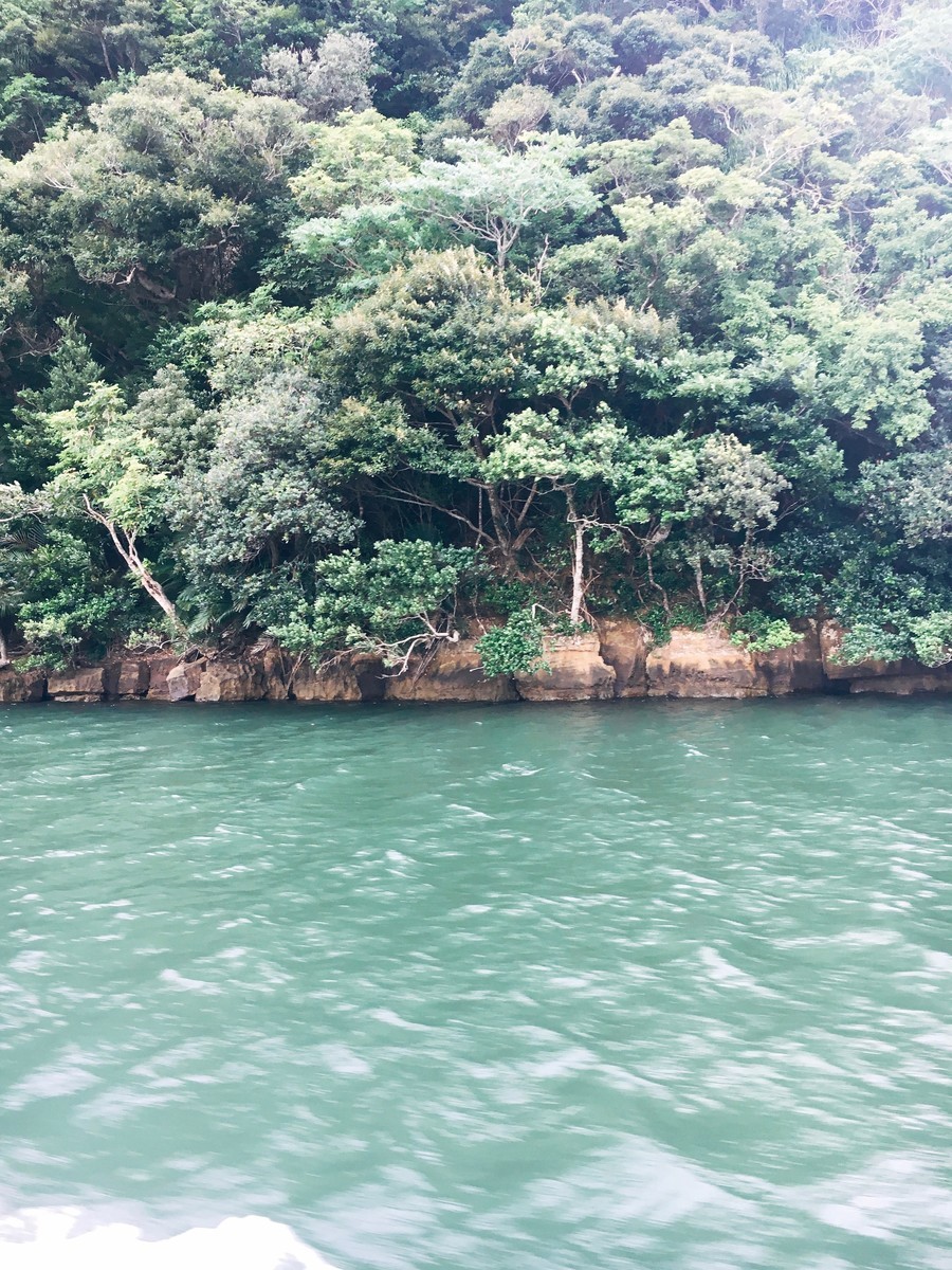 f:id:okamuuu:20190412103706j:plain