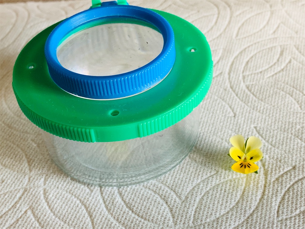 f:id:okan89-blog:20190415111228j:image