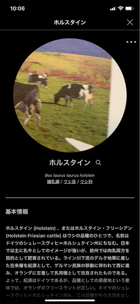 f:id:okan89-blog:20190716102458p:image