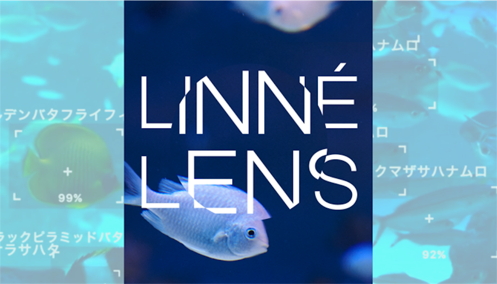 f:id:okan89-blog:20190716115022p:image