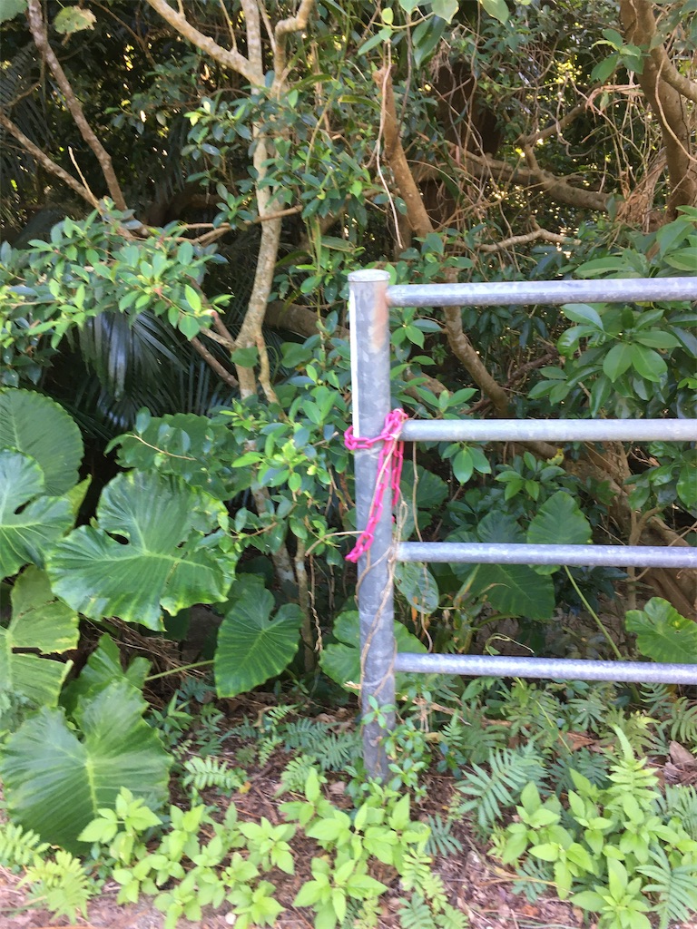 f:id:okantooton:20191206234120j:image f:id:okantooton:20191206234120j:image