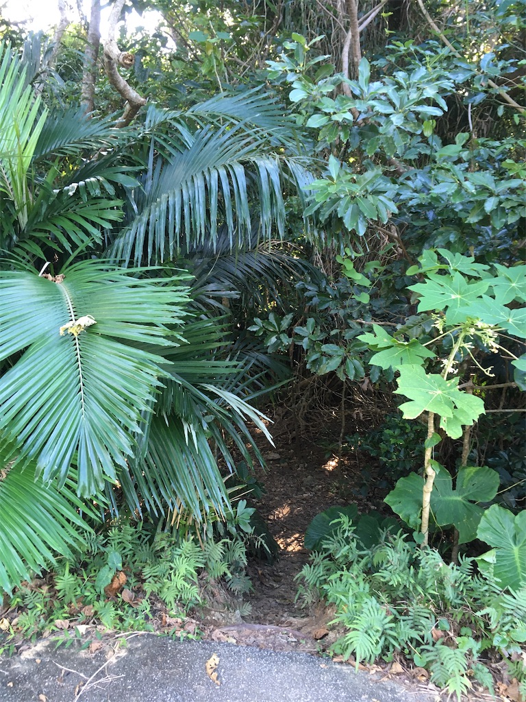 f:id:okantooton:20191206234204j:image f:id:okantooton:20191206234204j:image
