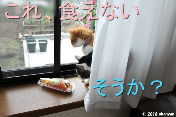 f:id:okanyanto:20180524155546j:plain