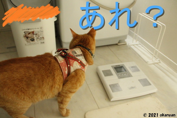 f:id:okanyanto:20210505205126j:plain
