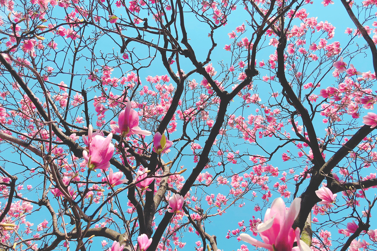 f:id:okao2133:20190316020538j:plain f:id:okao2133:20190316020538j:plain
