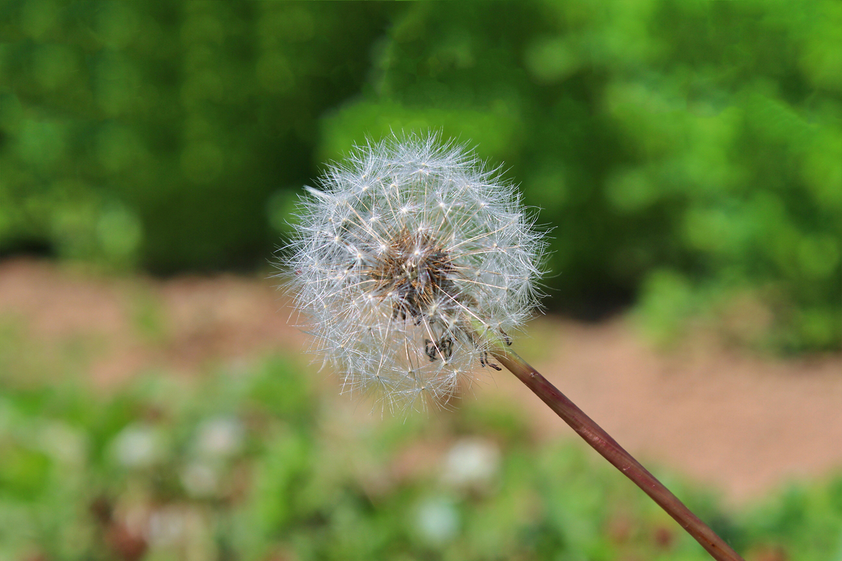 f:id:okao2133:20190317213349j:plain f:id:okao2133:20190317213349j:plain