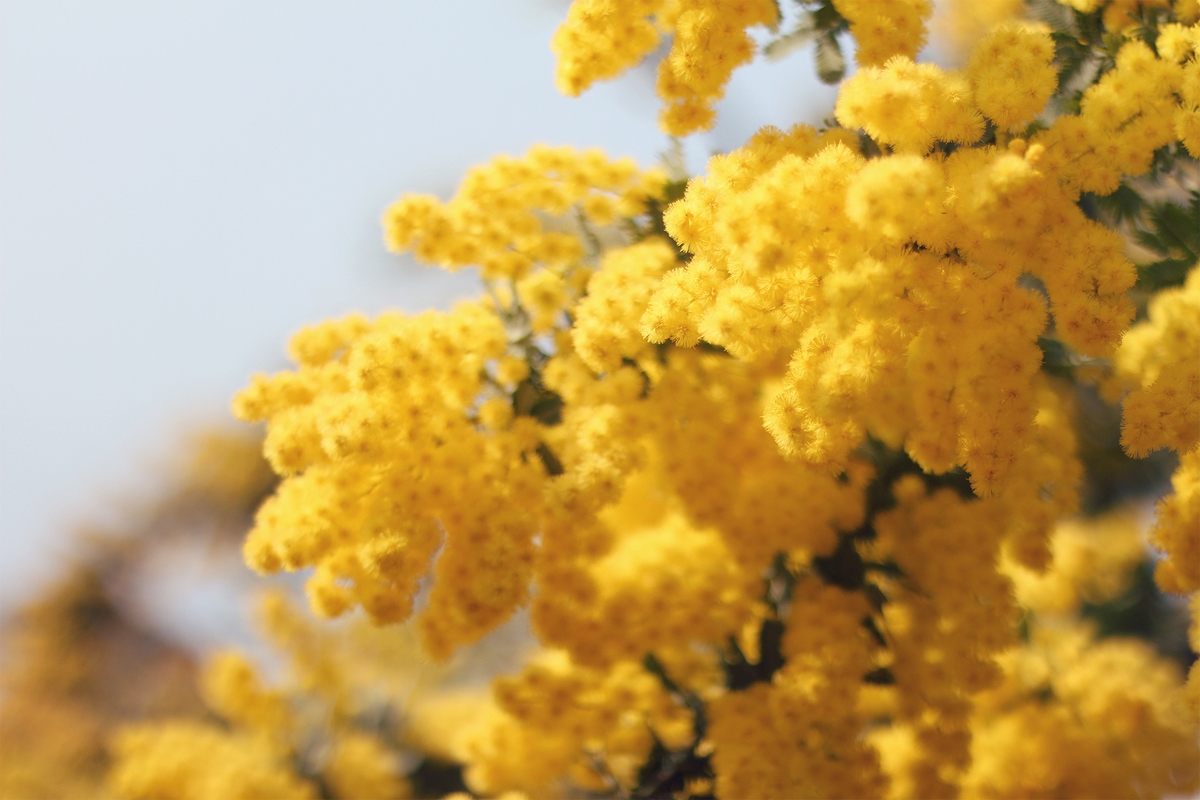 f:id:okao2133:20190407231342j:plain f:id:okao2133:20190407231342j:plain