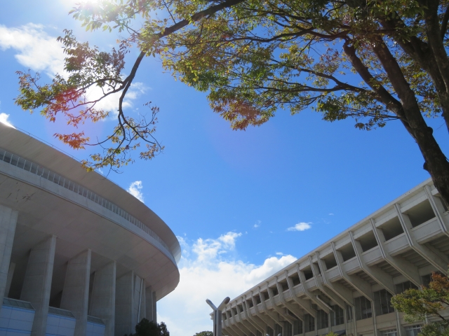 f:id:okaoka0624:20190707012550j:plain f:id:okaoka0624:20190707012550j:plain