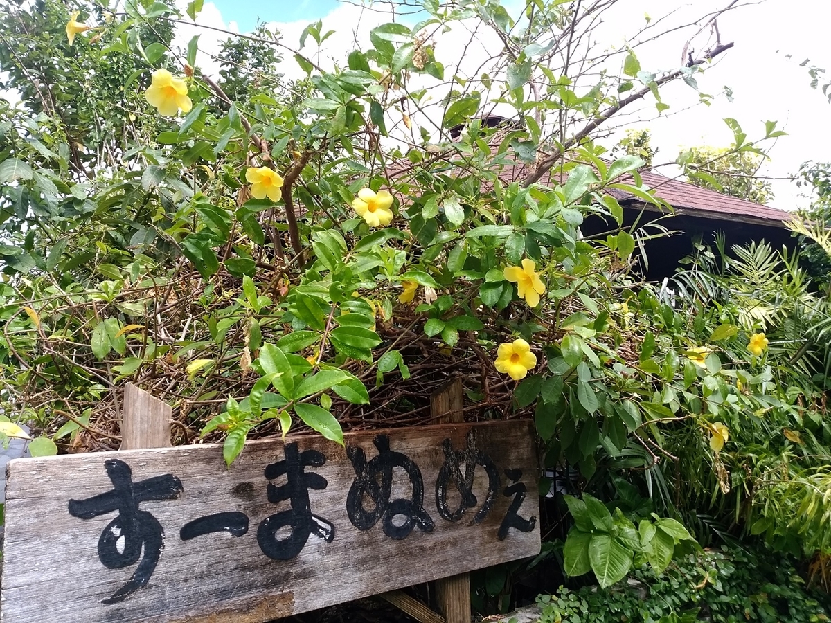 f:id:okap0123:20191013211120j:plain f:id:okap0123:20191013211120j:plain