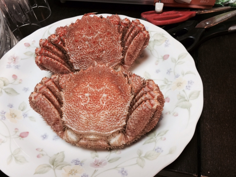 f:id:okapiokapi88:20141231190315j:image:w360