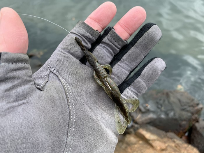 f:id:okapparism:20210313133007j:plain