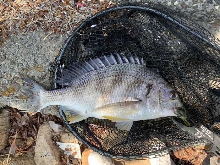 f:id:okapparism:20210410193818j:plain