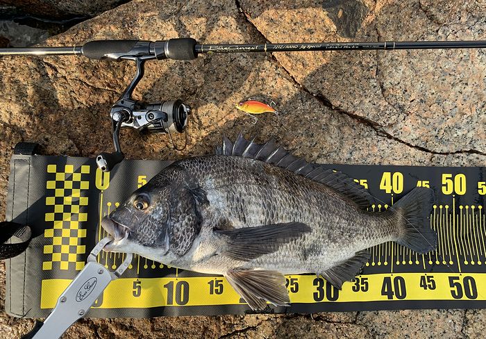 f:id:okapparism:20210410200004j:plain