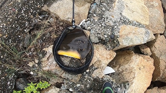 f:id:okapparism:20210710200034j:plain