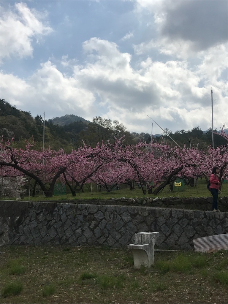 f:id:okara0421:20180415195151j:image f:id:okara0421:20180415195151j:image