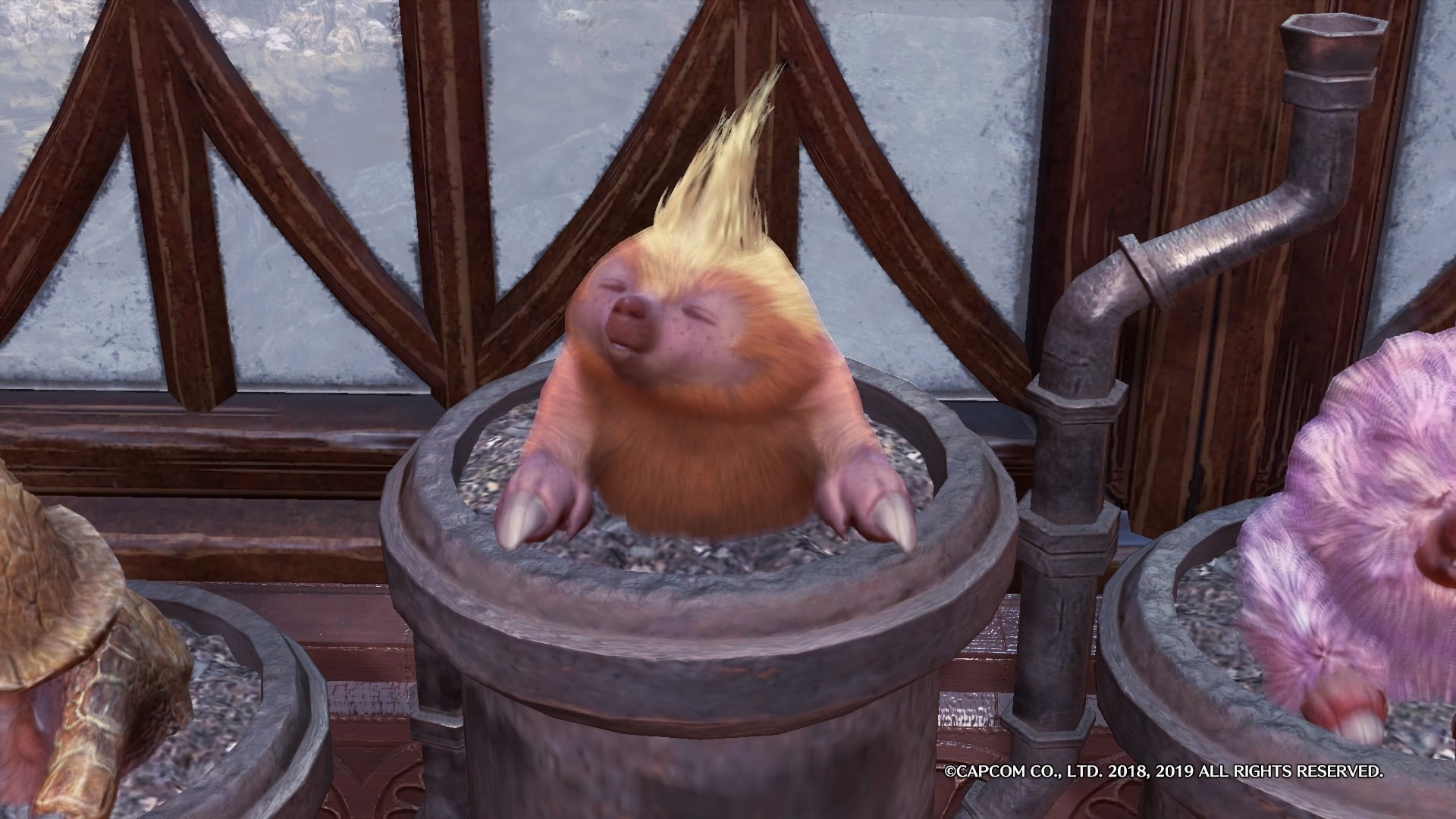 Mhwアイスボーン 環境生物完了 ゲーム道はじめるよ