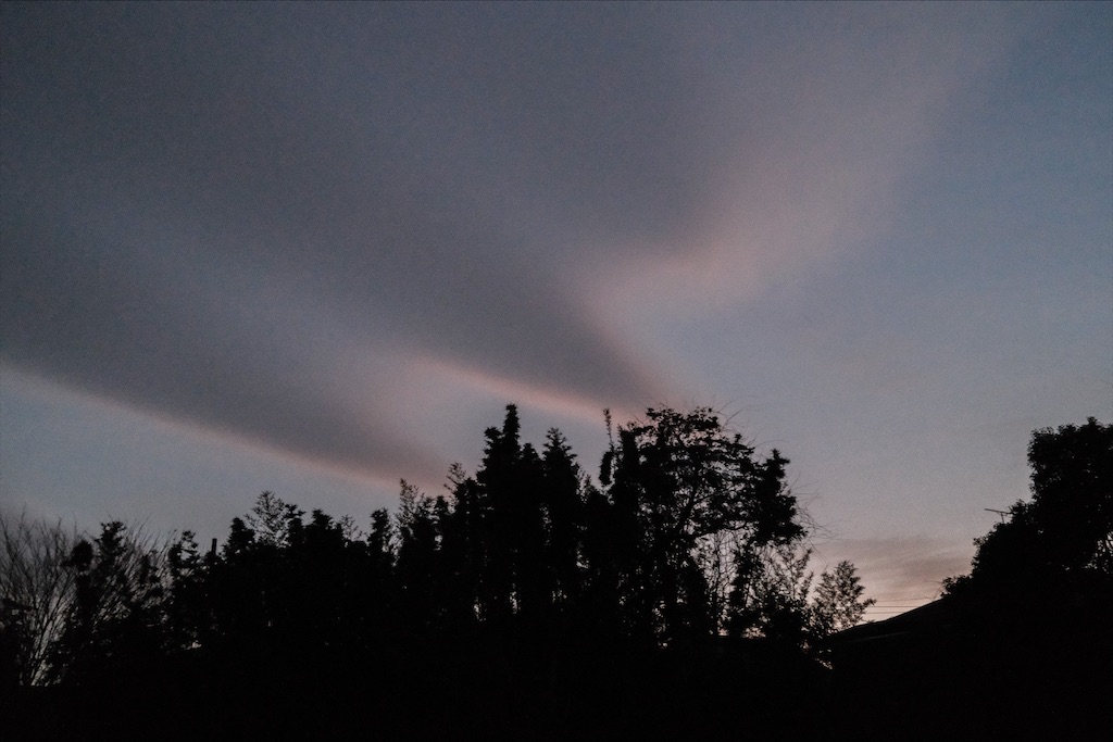 f:id:okarinapppp:20210518193132j:image