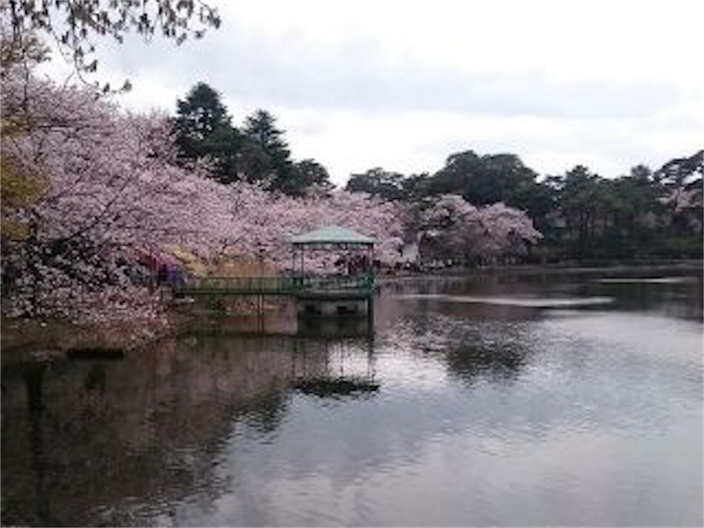 f:id:okasyo_0209:20190413213727j:image