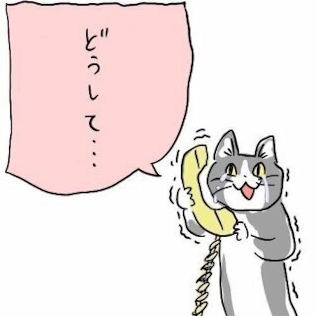 f:id:okasyo_0209:20201214114124j:image f:id:okasyo_0209:20201214114124j:image