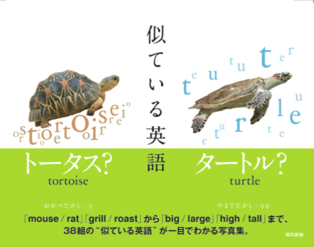 『似ている英語』見本出来！ - おかべたかしの編集記