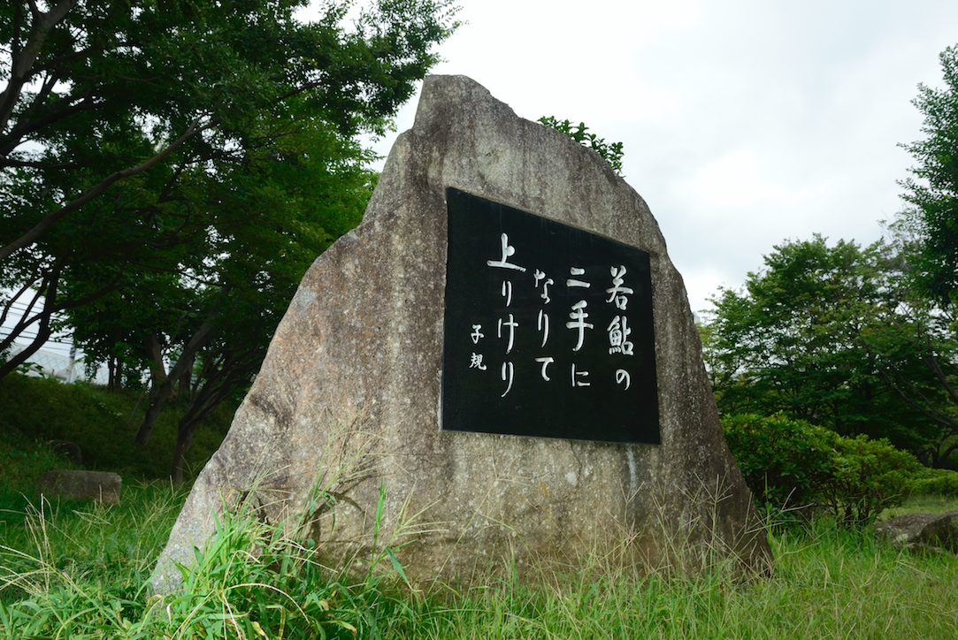 f:id:okataco:20190604145738p:plain f:id:okataco:20190604145738p:plain