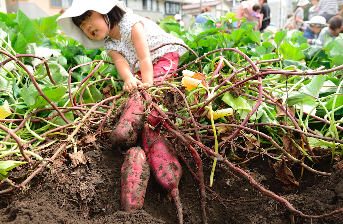f:id:okataco:20190605094003p:plain f:id:okataco:20190605094003p:plain