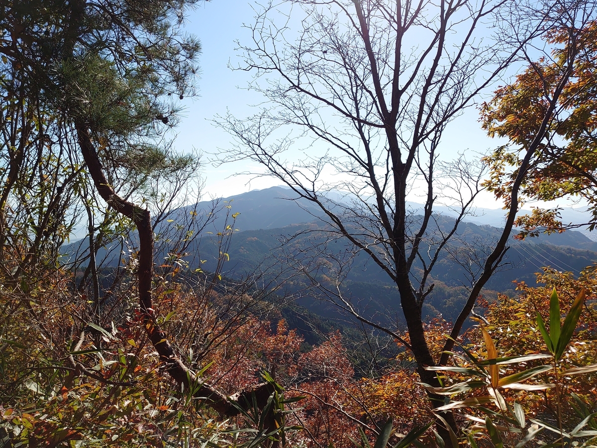 f:id:okatoshitan:20211202203414j:plain